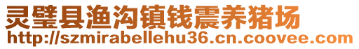 靈璧縣漁溝鎮(zhèn)錢震養(yǎng)豬場