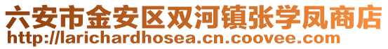 六安市金安区双河镇张学凤商店