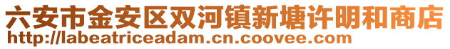 六安市金安區(qū)雙河鎮(zhèn)新塘許明和商店