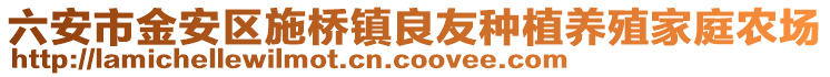 六安市金安區(qū)施橋鎮(zhèn)良友種植養(yǎng)殖家庭農(nóng)場