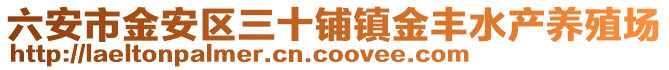 六安市金安區(qū)三十鋪鎮(zhèn)金豐水產(chǎn)養(yǎng)殖場