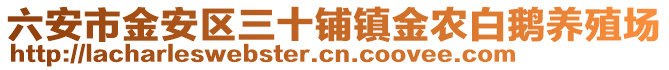 六安市金安區(qū)三十鋪鎮(zhèn)金農(nóng)白鵝養(yǎng)殖場