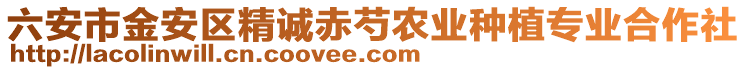 六安市金安區(qū)精誠(chéng)赤芍農(nóng)業(yè)種植專業(yè)合作社