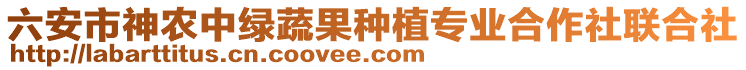 六安市神農(nóng)中綠蔬果種植專(zhuān)業(yè)合作社聯(lián)合社