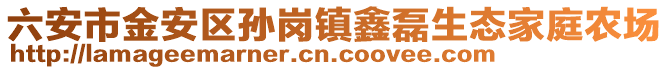 六安市金安區(qū)孫崗鎮(zhèn)鑫磊生態(tài)家庭農(nóng)場