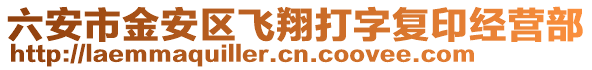 六安市金安區(qū)飛翔打字復印經(jīng)營部