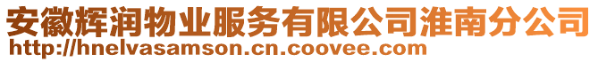 安徽輝潤物業(yè)服務(wù)有限公司淮南分公司