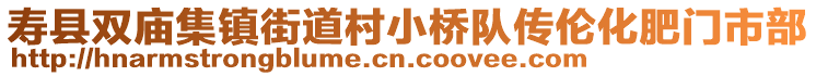 壽縣雙廟集鎮(zhèn)街道村小橋隊(duì)傳倫化肥門市部