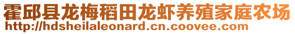 霍邱县龙梅稻田龙虾养殖家庭农场