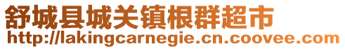 舒城縣城關(guān)鎮(zhèn)根群超市