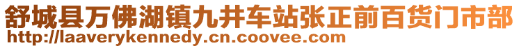 舒城縣萬佛湖鎮(zhèn)九井車站張正前百貨門市部