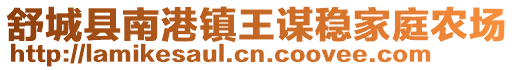 舒城县南港镇王谋稳家庭农场