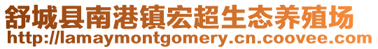 舒城县南港镇宏超生态养殖场