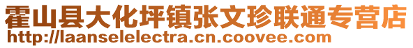 霍山县大化坪镇张文珍联通专营店