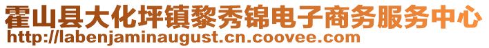 霍山县大化坪镇黎秀锦电子商务服务中心