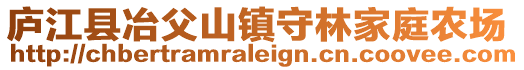 庐江县冶父山镇守林家庭农场