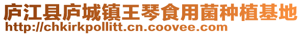 庐江县庐城镇王琴食用菌种植基地