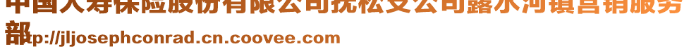 中國人壽保險(xiǎn)股份有限公司撫松支公司露水河鎮(zhèn)營銷服務(wù)
部