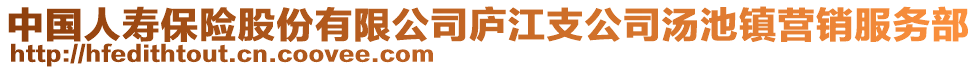 中国人寿保险股份有限公司庐江支公司汤池镇营销服务部