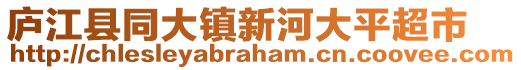 廬江縣同大鎮(zhèn)新河大平超市