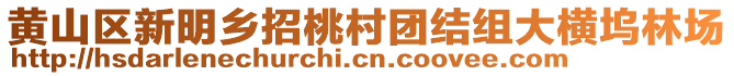 黃山區(qū)新明鄉(xiāng)招桃村團結(jié)組大橫塢林場