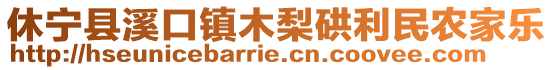 休宁县溪口镇木梨硔利民农家乐