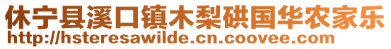 休寧縣溪口鎮(zhèn)木梨硔國華農(nóng)家樂