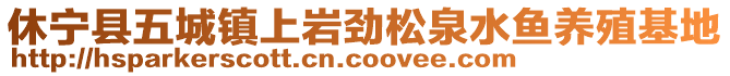 休寧縣五城鎮(zhèn)上巖勁松泉水魚養(yǎng)殖基地