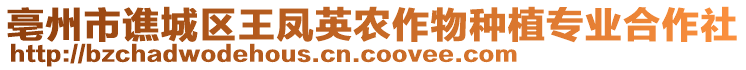 亳州市譙城區(qū)王鳳英農(nóng)作物種植專業(yè)合作社