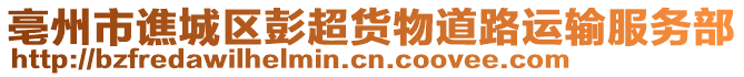 亳州市譙城區(qū)彭超貨物道路運(yùn)輸服務(wù)部