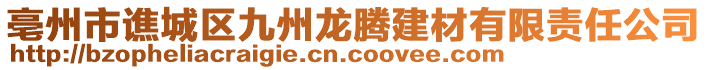 亳州市譙城區(qū)九州龍騰建材有限責(zé)任公司