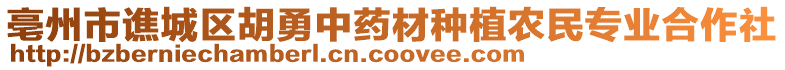 亳州市譙城區(qū)胡勇中藥材種植農(nóng)民專業(yè)合作社