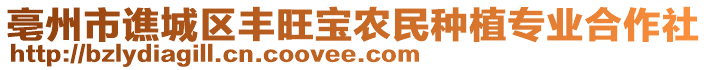 亳州市譙城區(qū)豐旺寶農(nóng)民種植專業(yè)合作社