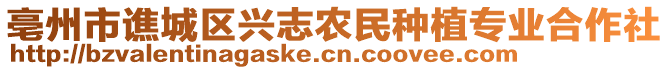 亳州市譙城區(qū)興志農民種植專業(yè)合作社