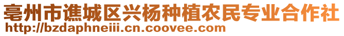 亳州市譙城區(qū)興楊種植農(nóng)民專業(yè)合作社