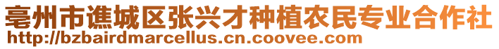 亳州市譙城區(qū)張興才種植農民專業(yè)合作社