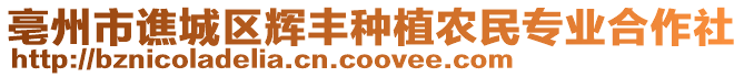 亳州市譙城區(qū)輝豐種植農(nóng)民專業(yè)合作社