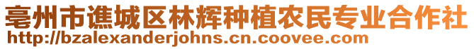 亳州市譙城區(qū)林輝種植農(nóng)民專業(yè)合作社