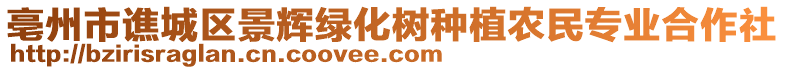 亳州市譙城區(qū)景輝綠化樹種植農(nóng)民專業(yè)合作社