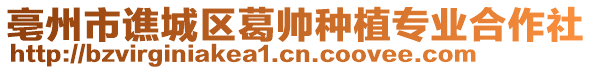 亳州市譙城區(qū)葛帥種植專業(yè)合作社