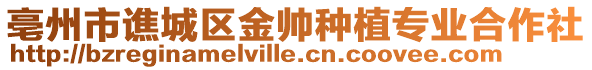 亳州市譙城區(qū)金帥種植專業(yè)合作社