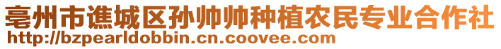 亳州市譙城區(qū)孫帥帥種植農(nóng)民專業(yè)合作社