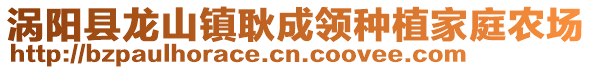 渦陽縣龍山鎮(zhèn)耿成領(lǐng)種植家庭農(nóng)場(chǎng)