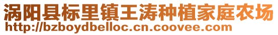 渦陽縣標(biāo)里鎮(zhèn)王濤種植家庭農(nóng)場