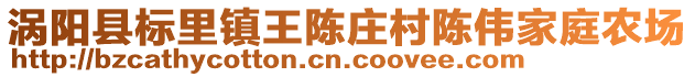 渦陽縣標(biāo)里鎮(zhèn)王陳莊村陳偉家庭農(nóng)場