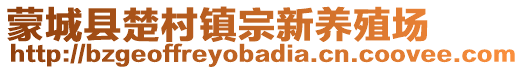 蒙城县楚村镇宗新养殖场