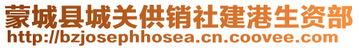 蒙城縣城關(guān)供銷社建港生資部