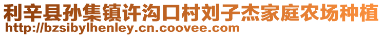 利辛縣孫集鎮(zhèn)許溝口村劉子杰家庭農(nóng)場(chǎng)種植