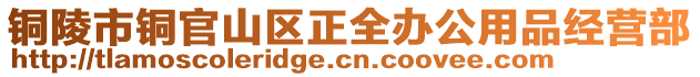 銅陵市銅官山區(qū)正全辦公用品經(jīng)營部