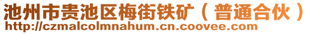 池州市貴池區(qū)梅街鐵礦（普通合伙）